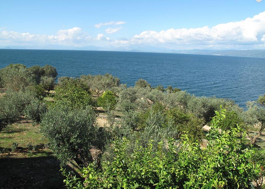 Villa Akriava for up to 24 guests - Image 2