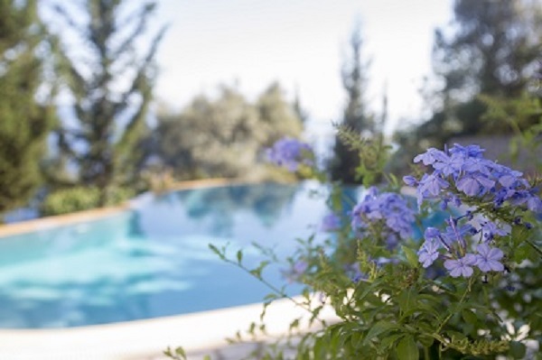 Villa Adonis Up to 10 guests - Image 4