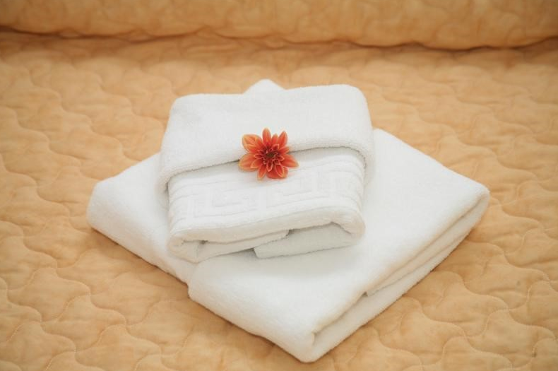 Anthemio loutraki - Image 3