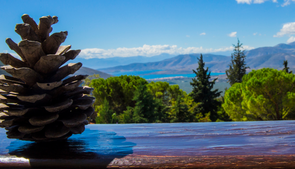 AMALIA DELPHI HOTEL - Image 2