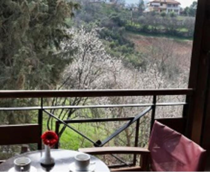 מלון בוטיק Dellas – תמונה 3