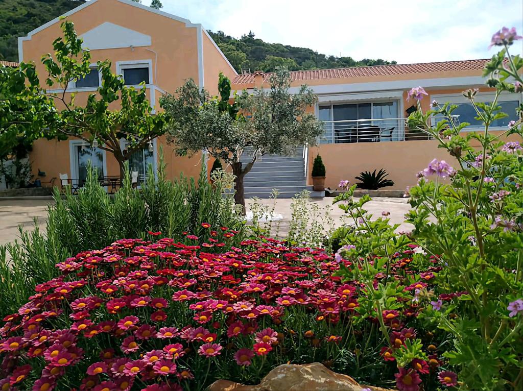 Amari Villa – תמונה 2